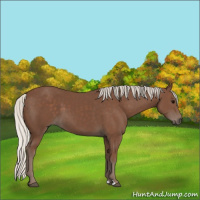 Horse Color:Silver Black 