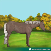 Horse Color:Silver Black 