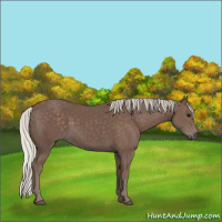 Horse Color:Silver Black 