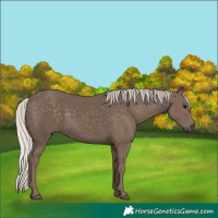 Horse Color:Silver Black 