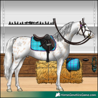 Horse Color:White Spotted Silver Amber Champagne Dun Appaloosa Rabicano 