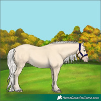 Horse Color:Silver Amber Cream Champagne 