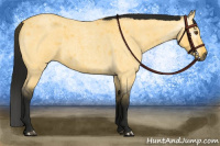 Horse Color:Gray Buckskin Roan Dun 