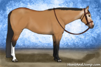 Horse Color:Gray Bay Dun 