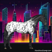 Horse Color:Black Appaloosa Rabicano 