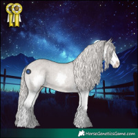 Horse Color:Silver Grullo Roan Splash Varnish 