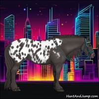 Horse Color:Smoky Black Sabino Appaloosa 