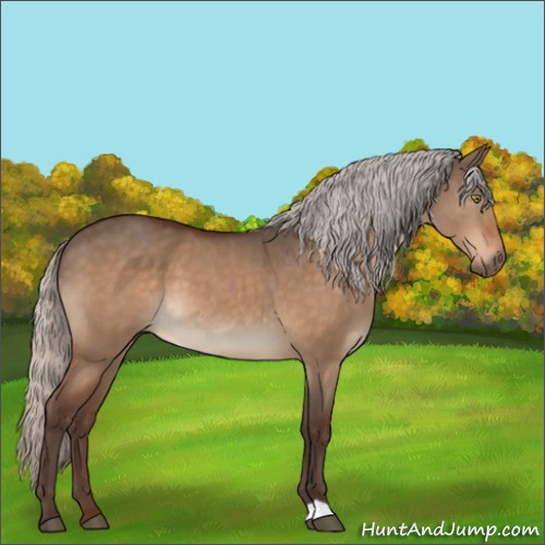 Horse Color:Silver Bay Dun 