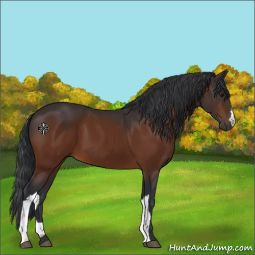 Horse Color:Brown 
