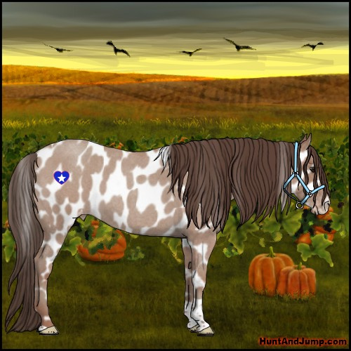 Horse Color:Classic Champagne Roan Tobiano Near Leopard