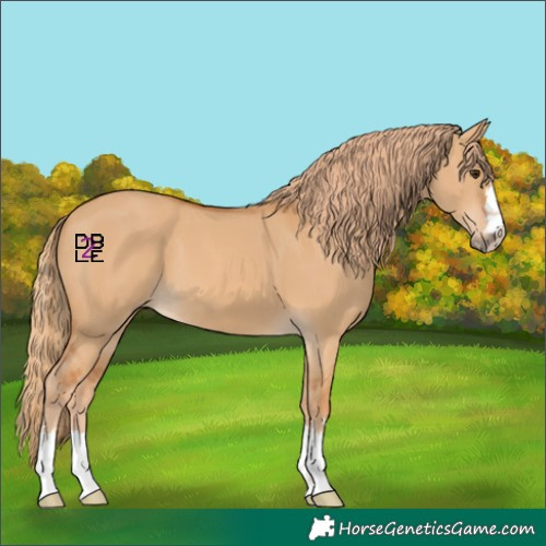 Horse Color:Red Dun
