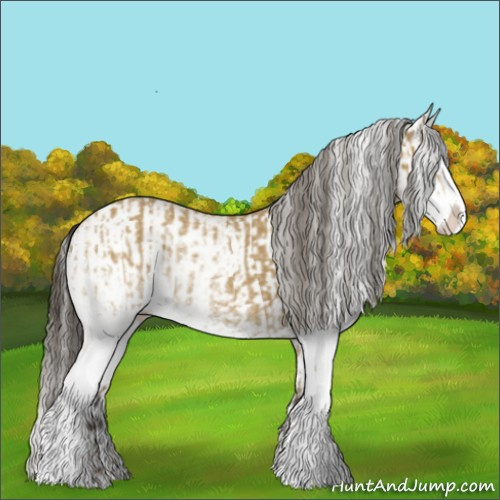 Horse Color:White Spotted Buckskin Splash and White Spotted Buckskin Splash