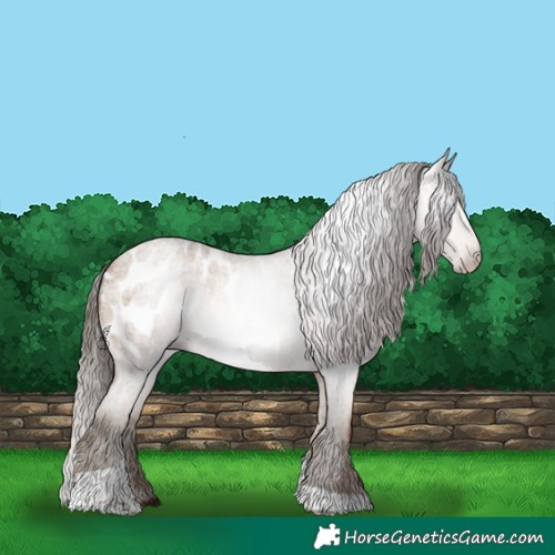 Horse Color:Gray Amber Champagne Roan Tobiano Blanket