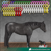 Horse Color:Smoky Black Sabino