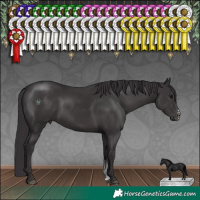 Horse Color:Smoky Black Sabino 