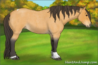 Horse Color:Buckskin Roan Tobiano 