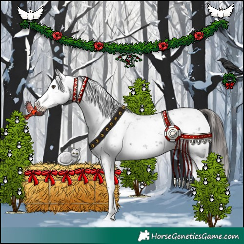 Horse Color:Liver Chestnut Sabino Splash Appaloosa 