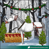 Horse Color:Liver Chestnut Sabino Splash Appaloosa