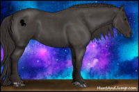 Horse Color:Smoky Blue Roan 