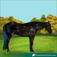 Horse Color:ERROR: UNKNOWN ANOMALY