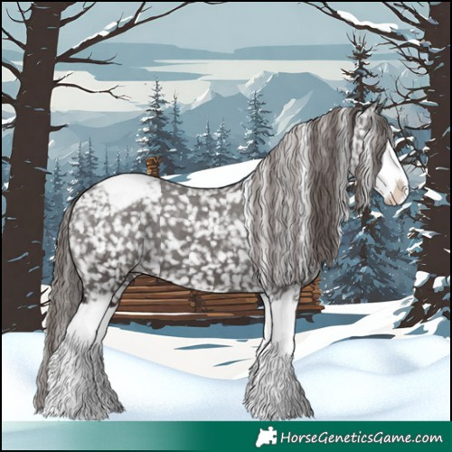 Horse Color:Liver Chestnut Sabino Splash Appaloosa 