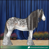 Horse Color:White Spotted Liver Chestnut Sabino Splash Snowflake Varnish