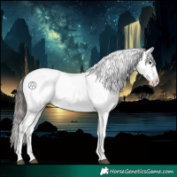 Horse Color:Liver Chestnut Sabino Splash Appaloosa 