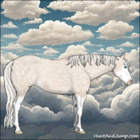 Horse Color:Cremello Sabino Splash Appaloosa
