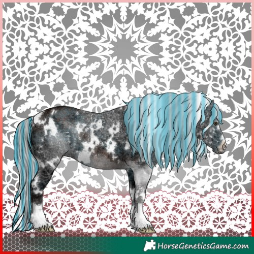 Horse Color:Painted White Spotted Silver Brown Ice Rabicano 