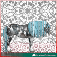Horse Color:Painted White Spotted Silver Brown Ice Rabicano 