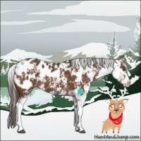 Horse Color:Liver Chestnut Sabino Appaloosa 