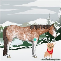 Horse Color:White Spotted Buckskin Varnish 
