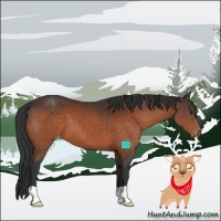 Horse Color:Brown Appaloosa 