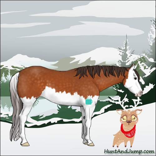 Horse Color:Buckskin Splash Appaloosa 
