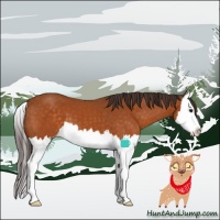 Horse Color:Buckskin Splash Varnish 