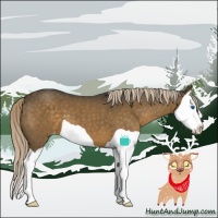 Horse Color:Chocolate Palomino Splash Varnish 