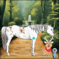 Horse Color:Buckskin Sabino Splash Appaloosa 