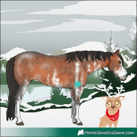Horse Color:White Spotted Brown 