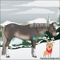 Horse Color:Silver Black 
