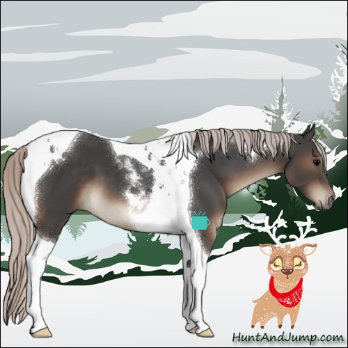 Horse Color:Silver Black Tobiano 