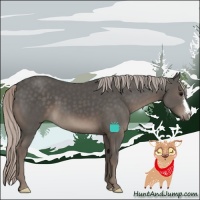 Horse Color:Silver Black 