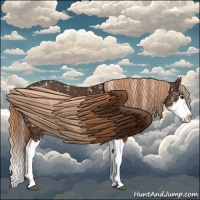Horse Color:Liver Chestnut Sabino Splash Snowflake Varnish