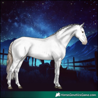 Horse Color:Liver Chestnut Pearl Sabino Snowflake Varnish