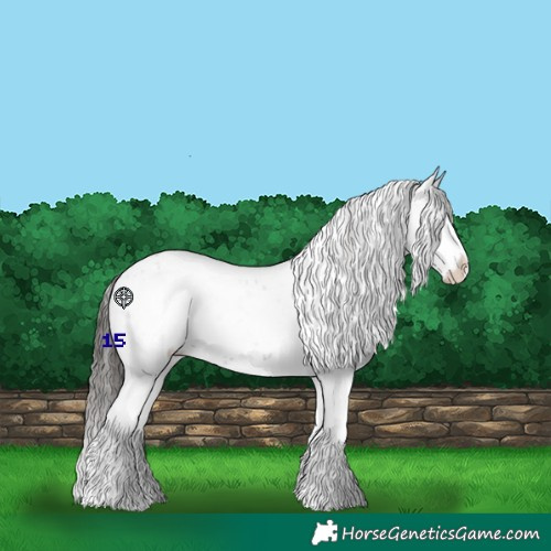 Horse Color:Liver Chestnut Sabino Splash Snowflake Varnish