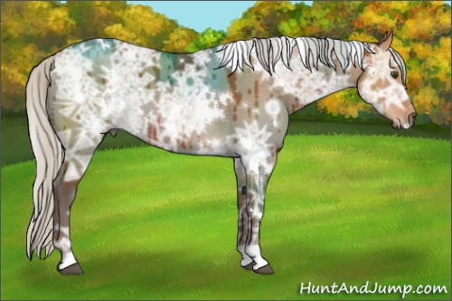 Horse Color:White Spotted Silver Bay Ice Dun Brindle 