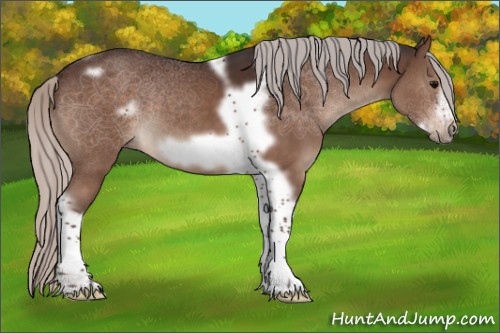 Horse Color:Silver Brown Tobiano Frame 