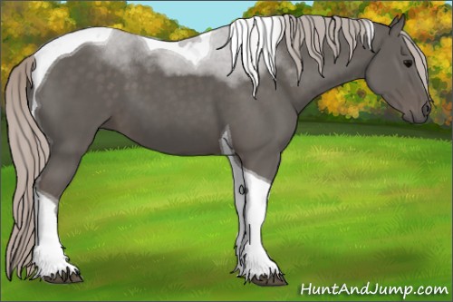 Horse Color:Silver Black Tobiano