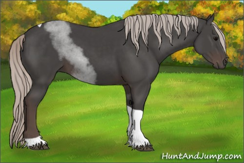 Horse Color:Silver Black Tobiano