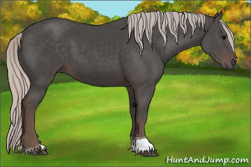 Horse Color:Silver Black Tobiano