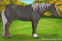 Horse Color:Silver Black Tobiano 